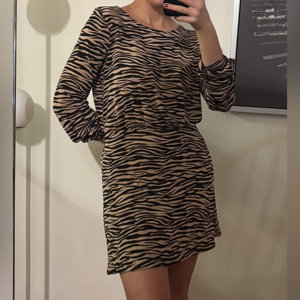 Ann Taylor Loft Zebra Print Dress with Long Sleeves